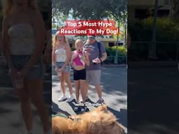 Top 5 Most Hype Fan Reactions To My Dog! #goldendoodle #reactions #petfluencer