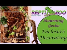 Mourning Gecko Enclosure Decorating | Zoo Med Excavator Clay for Humid Enclosure SUCCESS