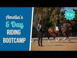 Announcement: NEW 5-Day Online Riding Bootcamp!