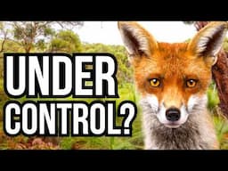 5 Invasive Species Populations That Have MOSTLY Been Controlled