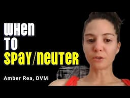 When should you neuter your dog?