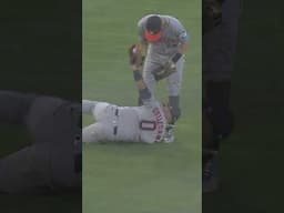 This catch was RIDICULOUS! 🤯 #catch #baseball #mlb #ridiculous