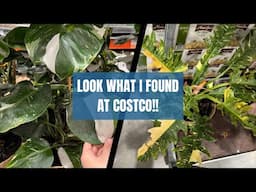 Found Some Rare Plants at Costco