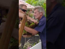 Dated front yard gets modern makeover #diy #greathomeideas