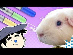 I Let My GUINEA PIG Choose My Markers 😱 (3 marker challenge)