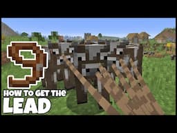 How To Get The LEAD In MINECRAFT 1.21.6
