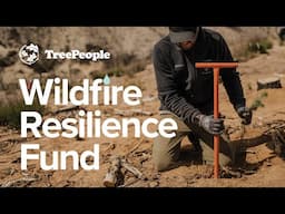 TreePeople Wildlife Resilience Fund