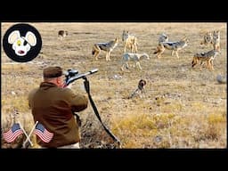 The Best Coyote Hunting Footage On Youtube | Coyote Hunting