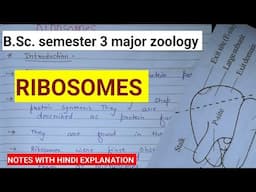 RIBOSOMES NOTES ||BSC SEM 3 major zoology Notes #bbmku #vbu #bhu #skmu #du @ZOOLOGYNOTES