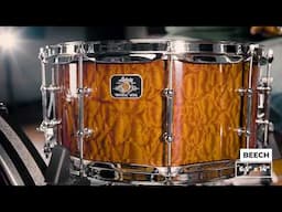 Ludwig Universal Series Wood Snares – Full Line Comparison