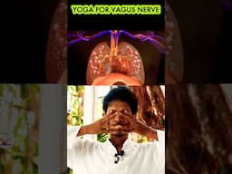 🔥YOGA FOR VAGUS NERVE #heartattack #vagusnerve #humanbody #animation #stress #anxiety