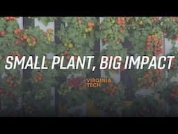 Revolutionizing food growth at Virginia Tech