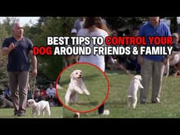 Calm Your Dog When Guests Arrive — Simple Steps for Success | Dog Nation Throwbacks