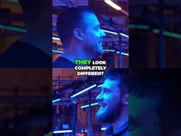 Coral Night-time Transformation