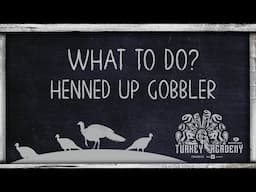 OnX Turkey Academy • Lesson 17 | Henned Up Gobbler - What To Do
