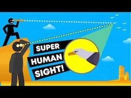 SUPER VISION DEBUNKED! - Furthest and Smallest We Can See? Most Colors?