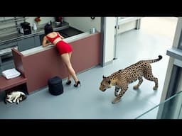 Interesting Animal Moments Caught on Camera
