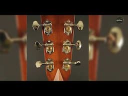 Unveiling the Martin D 28 Standard Series Acoustic Guitar Timeless Sound and Quality