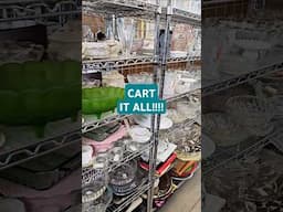 THRIFT JACKPOT!!#shopping ##thrifting #homedecor #vintage #education #thrift #decor #indpoultry #wow