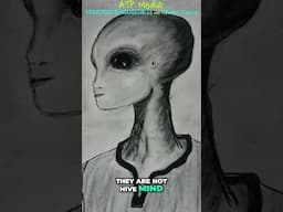 Zeta Reticuli: Preparing Humanity for First Contact!