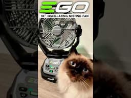 One Cool Cat 🐱EGO 10" Oscillating Misting Fan