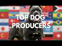 Unleashing the Champions: The Top Dog Producing Countries!