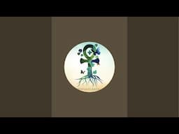 Powerful Plant Allies is live!