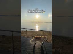 Could YOU LIVE with THIS? | ☀️ Midnight Sun #svalbard