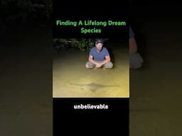 Finding One of the Rarest Animals in the World