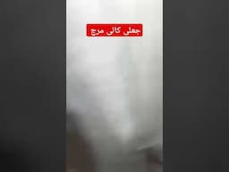 جعلی کالی مرچ #viralvideo #awareness #shorts #fake