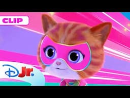 SUPERKITTIES: Gatitos en acción: el hueso robado 🐱 | @DisneyJuniorES