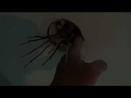 Easy Way How to Wire Up a Smoke Alarm