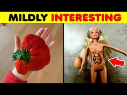 Weird, Random, and Surprisingly Cool Stuff