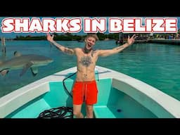 THE Most Amazing Snorkel In The World! Hol Chan Reserve, Belize.