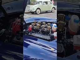 Shelby Cobra V8 de colecionador com 04 Bi Jet coisa linda de se ver aposto que você nunca viu um #v8