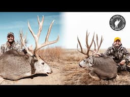 North America Deer Slam: Rocky Mountain Mule Deer | Mark V. Peterson Hunting