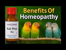 Benefits Of Homeopathy Kali Phos 6X For Birds ? Homeopathy Kali Phos @santanubirdscare​