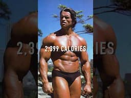 2,399 CALORIE DIET