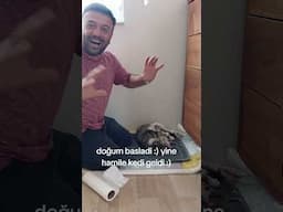hamile bir kedi daha geldi ve evimde 4 bebek doğurdu:) çok çok güzeller :)