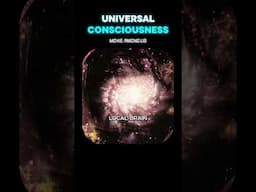 ✨UNIVERSAL CONSCIOUSNESS✨ Watch the full movie at - www.godsamongus.com #telepathy #consciousness