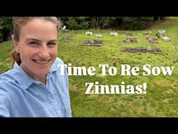 Summer Decor, More Zinnias, Herbs For Dinner | Garden VLOG
