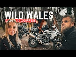 A Tour of Wales, Baffle Haus and Benelli TRK 502 X