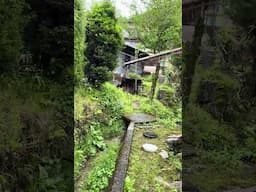Beauty of Rain in Japan #Japan #rainy #rain #walkingtour #travel
