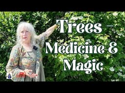 Trees - Medicine & Magic