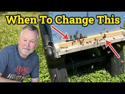 Beekeeping | 4 Crucial Times to Change Your Hive Entrance