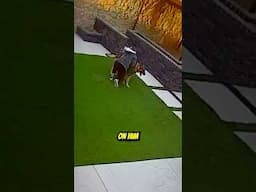 DON'T CLICK THE SOUND 😭