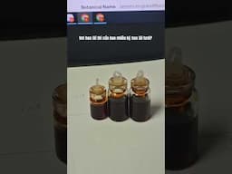 1ml hoa lài cần bao nhiêu ký hoa lài tươi? #chietxuathoalai