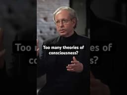 Are there too many consciousness theories?