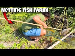 I Found Aquarium FISH HIDDEN In FISH FARM!