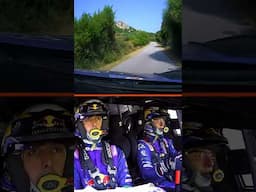 Gravel Tyres & Asphalt Road 👀